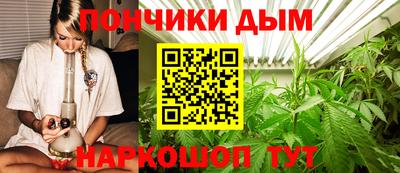амф Бердск