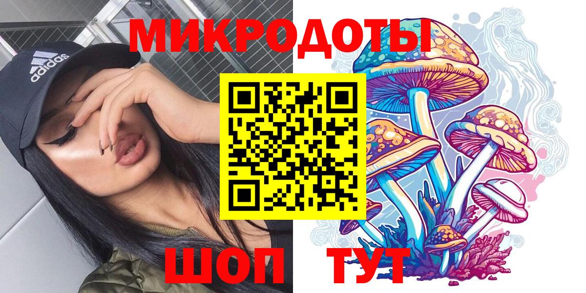 Аргун  Галлюциногенные грибы GOLDEN TEACHER  Вход с VPN 